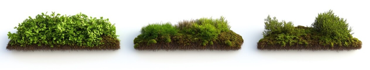 Obraz premium Three Types of Greenery on Small Patches of Soil