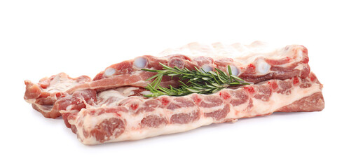 Fresh raw pork ribs and rosemary isolated on white