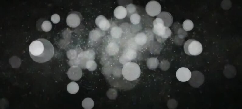 White circles bokeh particles abstract background on black background. Futuristic glittering in space.