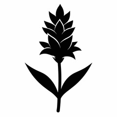 vector illustration of a plant