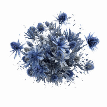 Abstract Blue Eryngium Bouquet on Purple