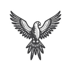 Obraz premium Vintage Hand-Drawn Parrot with Wings Spread Illustration – Tropical Exotic Bird Engraved Style Vector for T-Shirts, Posters, Stickers, and Nature Themes Apparel