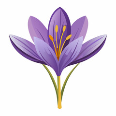 Naklejka premium Safran Flower Vector White Transparent Background 