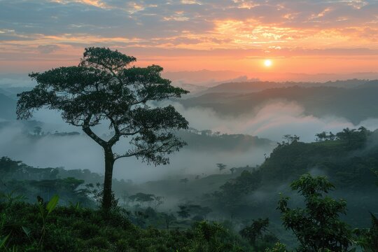 Environmental tribute: Day of Trees in Colombia honors nature, preserving landscapes, raising awareness sustainability, reflecting nation commitment to protecting greenery, forests. - Powered by Adobe