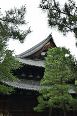 大本山大徳寺　法堂【重要文化財】