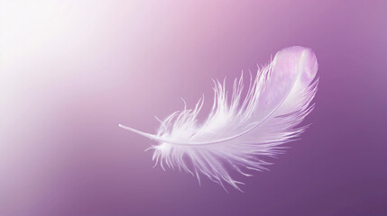 Obraz premium White Feather Floating on Pale Lavender Gradient Background