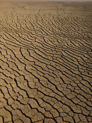 The parched fields