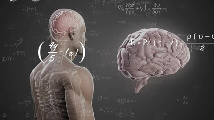 Translucent torso revealing spine and brain floating in 3D render with hovering math formulas - Powered by Adobe
