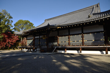 Fototapeta premium 総本山仁和寺 秋の金堂【国宝】