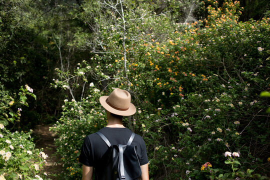Man bush walking