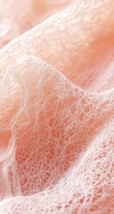 Fototapeta premium Delicate, textured, pale peach lace