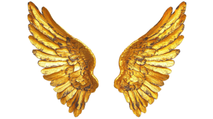 Pair of Golden Angel Wings Isolated on PNG Transparent Background
