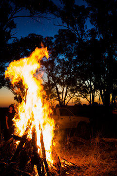 Campfire burning in a clearing in a farm paddock