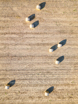 Looking down on round hay bales sitting in a paddock