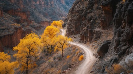 Winding mountain road through autumnal canyon.