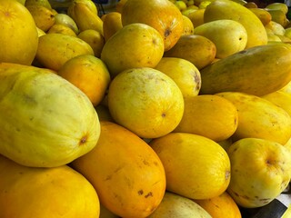 Pile of ripe cucumber fruits from the harvest