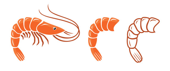 Collection of shrimp icons. Sketch of fresh shrimps isolated on white background. Collection of shrimps, without shell, meat, cleaned. Realistic vector illustration for banner, promotion.eps