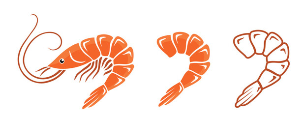 Shrimp icon set. Fresh shrimp. Collection of shrimps without shell, shrimp meat. With and without outline. Vector isolated on white background. Vector illustration.eps