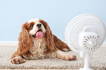 Funny dog and electric fan against light blue background