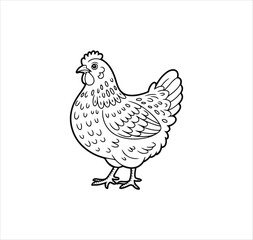 hen vector and isolated on a transparent background