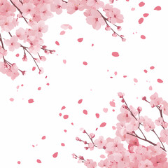 Delicate pink cherry blossoms gently falling against a white background.  A beautiful spring scene.