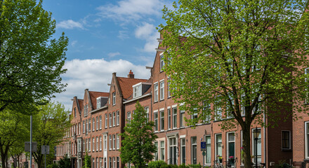 Obraz premium Charming Dutch Architecture: A Sunny Street Scene in the Netherlands with Brick Houses & Lush Green Trees.