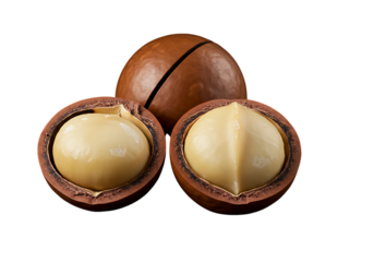 Freshly cracked macadamia nuts with one whole nut and two halves isolated on black background