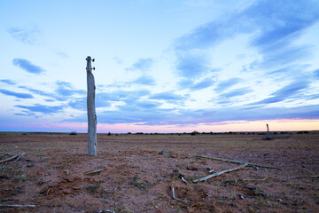 Fence post in arid landscape at sunset