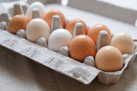 Organic free range eggs in carton