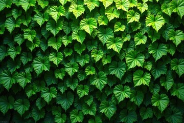 Intricate wall covered in lush green leaves, creating a vibrant natural wall , lush, natural wall, wallpaper