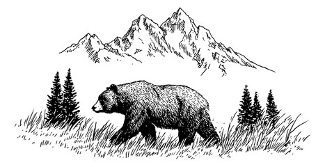 Engraved illustration of a bear walking in the grass with mountains and trees behind