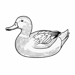 Single Duck Bird Vector Illustration with Detailed Feather Texture