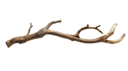 Rustic Wooden Branch Isolated on PNG Transparent Background
