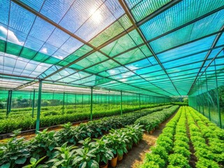 Panoramic Greenhouse Shading Net: Sun Protection for Plants