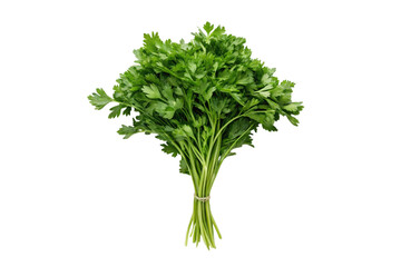 Fototapeta premium bunch of fresh parsley