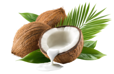 Coconuts with milk splash and leaf on white background