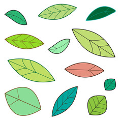 A set of colorful leaves of various styles