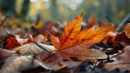 Detailed Macro Of An Orange Autumn Leaf On Ground With Blurred Foliage Backdrop