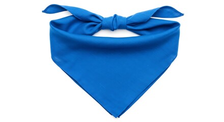 Royal blue bandana accessory