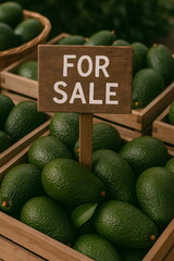 Avocados for sale at a farmer's market