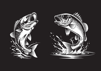 black and white vector illustration of a catfish jumping out of the water.eps