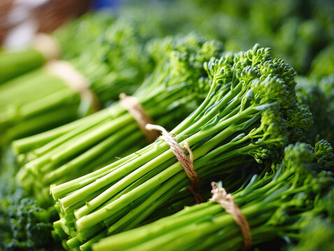 Close inspection of bundle of fresh broccolini with vibrant green stalks and tiny florets, tied with string, ready for sale or cooking, showcasing healthy vegetables in natural light