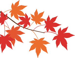 Autumn maple leaves branch in red and orange colors vector illustration for fall design 
