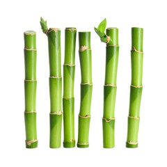 Obraz premium Green bamboo stalks, perfect for nature backgrounds, Asianinspired designs, Zen concepts, spa and wellness themes, and ecofriendly concepts.
