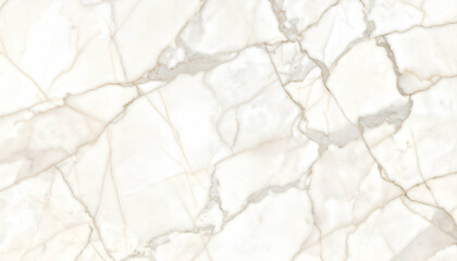 High-resolution marble pattern with subtle cream veining.