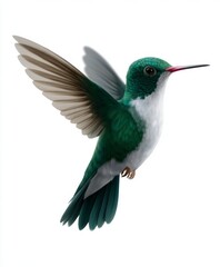 Obraz premium A green and white hummingbird flying through the air with its wings spread