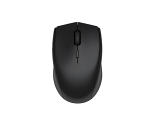 black computer mouse