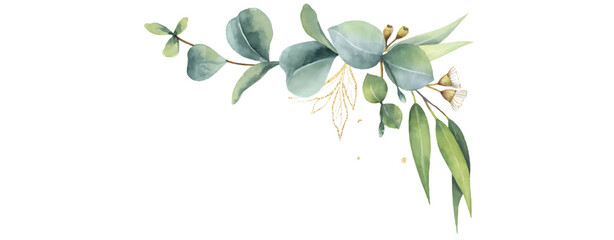 A beautiful green floral leaf vector illustration, featuring eucalyptus and other leafy elements with a touch of gold accents. 
