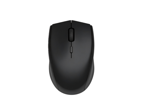 black computer mouse