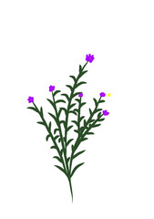 Naklejka premium Purple flowers plant